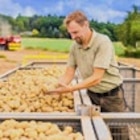 Kaufland Kleve - Dtsch. Speisefrühkartoffeln Angebot im Prospekt Dtsch. Speisefrühkartoffeln bei Kaufland im Kleve Prospekt für 2,99 €