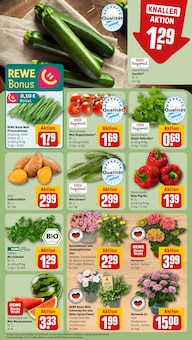 Blumen im REWE Prospekt "Dein Markt" mit 29 Seiten (München)