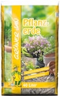 Pflanzerde bei Thomas Philipps im Senden Prospekt für 3,66 €