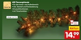 LED Tannengirlande von DEKOR im aktuellen Netto Marken-Discount Prospekt für 14,99 €