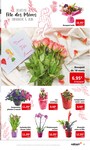 Le Pain Des Fleurs Le Pain Des Fleurs