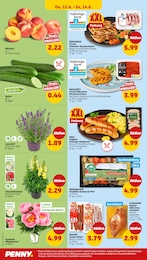 Schweinenacken Angebot im aktuellen Penny Prospekt auf Seite 30