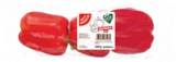 Angebot im Marktkauf Prenzlau Prospekt Marktkauf Prenzlau Prospekt mit im Angebot fĂŒr 0,99 âŹ