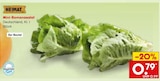 Aktuelle Salat Angebote bei Netto Marken-Discount in Nürnberg Aktuelles Mini-Romanasalat Angebot bei Netto Marken-Discount in Nürnberg ab 0,79 €