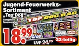 Jugend-Feuerwerks-Sortiment 'Top Dog' Angebote bei Wreesmann Norderstedt für 18,99 €