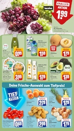 Ähnliche Vittel Angebote im Prospekt "Dein Markt" von REWE in Koblenz Ähnliche Angebote wie Vittel im Prospekt "Dein Markt" auf Seite 8 von REWE in Koblenz