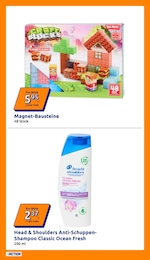 Action Shampoo im Prospekt Action Shampoo im Prospekt
