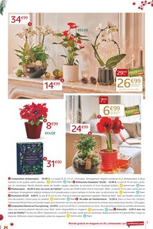 Promotion Fleurs dans le prospectus Jardiland, valable du 06/12/2023 au 17/12/2023 Promo Fleurs dans le catalogue Jardiland du moment à la page 3