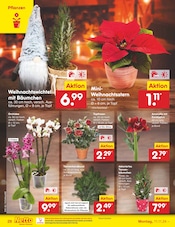 Aktueller Netto Marken-Discount Prospekt mit Orchidee, "Aktuelle Angebote", Seite 34