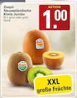 Neuseeländische Kiwis Jumbo bei WEZ im Minden Prospekt für 1,00 €