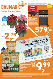 Globus-Baumarkt Prospekt für Rimbach mit 20 Seiten Globus-Baumarkt Prospekt für Rimbach: "Immer eine Idee besser", 20 Seiten, 04.05.2025 - 10.05.2025