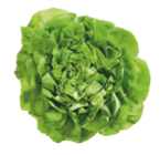 Aktuelle Salat Angebote bei tegut in Stuttgart Aktuelles Kopfsalat Angebot bei tegut in Stuttgart ab 0,99 €