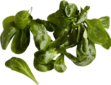 Feldsalat bei EDEKA im Pirmasens Prospekt für 1,99 €