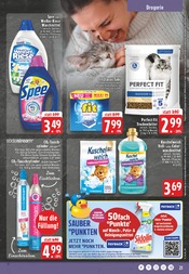 Aktueller EDEKA Prospekt mit Tierfutter, "Aktuelle Angebote", Seite 21
