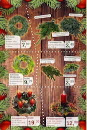 Garten im Garten-Center Nordharz GmbH & Co. KG Prospekt in Wolfenbüttel Aktueller Garten-Center Nordharz GmbH & Co. KG Prospekt mit Garten, "FRÖHLICHE ADVENTSZEIT", Seite 2