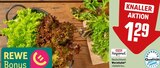 Aktuelles Wurzelsalat Angebot bei REWE in Würzburg ab 1,29 €