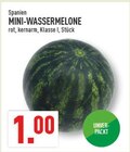 Marktkauf Emsdetten - Mini-Wassermelone Angebot im Prospekt Mini-Wassermelone bei Marktkauf im Emsdetten Prospekt für 1,00 €