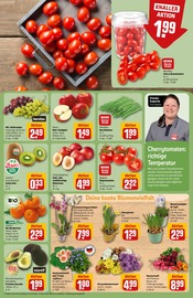 Mandarinen Angebote im Prospekt "Dein Markt" von REWE auf Seite 7