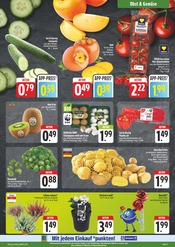 Tomaten im EDEKA Prospekt in Freiberg Aktueller EDEKA Prospekt mit Tomaten, "Wir lieben Lebensmittel!", Seite 5