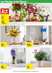 Orchidée Angebote im Prospekt "CHOCOLAT & CAFÉ" von Carrefour auf Seite 36