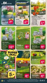 Gartendeko im Netto mit dem Scottie Prospekt in Potsdam Aktueller Netto mit dem Scottie Prospekt mit Gartendeko, "Günstig. Besser. Für Dich.", Seite 20