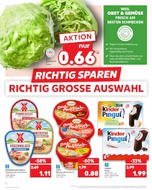 Aktueller Kaufland Haßloch Prospekt "Aktuelle Angebote" mit 67 Seiten