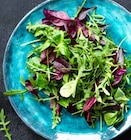 Kräutersalate von Kölle Bio im aktuellen Pflanzen Kölle Prospekt