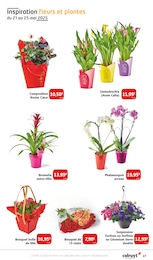 Offre Aménagement Extérieur dans le catalogue Colruyt du moment à la page 27