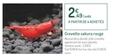 Crevette sakura rouge - Botanic à Drancy Crevette sakura rouge en promo chez Botanic Drancy à 2,49 €