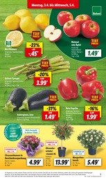 Garten im Lidl Prospekt Garten im Lidl Prospekt LIDL LOHNT SICH auf S. 3