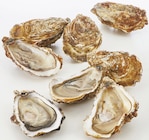 Huîtres spéciales de la Baie d'Isigny N°3 - Supermarchés Match à Charleville-Mézières Huîtres spéciales de la Baie d'Isigny N°3 en promo chez Supermarchés Match Charleville-Mézières à 10,99 €