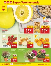 Aktueller Netto Marken-Discount Prospekt mit Pflanzen, "Aktuelle Angebote", Seite 38