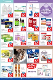 Ähnliche High Protein Eis Angebote im Prospekt "drogeriemarkt" von budni Ähnliches Angebot bei budni in Prospekt "drogeriemarkt" gefunden auf Seite 6