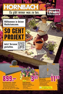 Aktueller Hornbach Prospekt "Willkommen in Deiner Wachstumszone." Seite 1 von 30 Seiten für Mainz