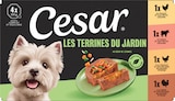 TERRINES AU CŒUR DE LÉGUMES 4X150G - CESAR en promo chez Animalis TERRINES AU CŒUR DE LÉGUMES 4X150G - CESAR dans le catalogue Animalis