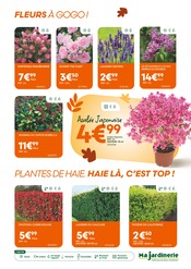 Laurier Angebote im Prospekt "VIVEZ TOUTES LES COULEURS DE L'AUTOMNE !" von Ma Jardinerie auf Seite 3