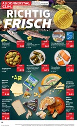 Kaufland Brathering im Prospekt 