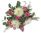 REWE Pirna Prospekt mit  im Angebot für 15,00 €