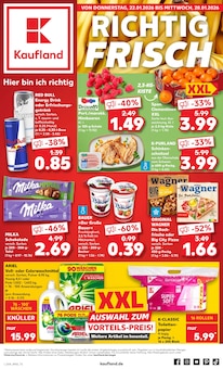 Aktueller Kaufland Prospekt "Aktuelle Angebote" für Senftenberg Aktueller Kaufland Prospekt für Senftenberg mit Seiten