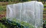 Promo Mini Serre à Tomates à 23,90 € dans le catalogue Rural Master à Bagard