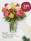 Rosen Angebote bei tegut Weimar für 2,99 €