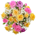 Nelken-Sprayrosenstrauß bei Kaufland im Bad Oldesloe Prospekt für 5,49 €