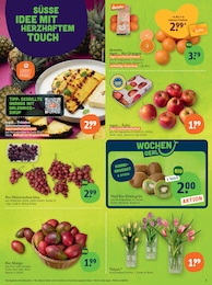 Küchengeräte Angebot im aktuellen tegut Prospekt auf Seite 5