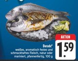 Dorade Angebote bei EDEKA Bautzen für 1,59 €