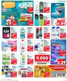Pampers im aktuellen Kaufland Prospekt (Regensburg) Pampers im Kaufland Prospekt "Aktuelle Angebote" mit 32 Seiten (Regensburg)