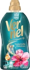 Weichspüler Aromatherapie Zauberhafte Malediven 46WL Angebote von Vernel bei dm-drogerie markt Saarlouis für 2,95 €