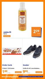 Schuhe im Action Prospekt in Magdeburg Aktueller Action Prospekt mit Schuhe, "kleine Preise, grosse Freude!", Seite 8