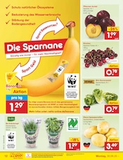 Küchenmöbel im Netto Marken-Discount Prospekt in Gladbeck Aktueller Netto Marken-Discount Prospekt mit Küchenmöbel, "Aktuelle Angebote", Seite 13