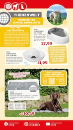 Katzenbrunnen Angebot & Preis im aktuellen Zookauf Prospekt Katzenbrunnen Angebot im aktuellen Zookauf Prospekt auf Seite 4