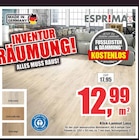 Klick-Laminat Lona Angebote von Esprima bei Witthus Heimtex-Fachmarkt GmbH Oldenburg für 12,99 €